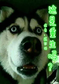 【NP】这是重生吗?