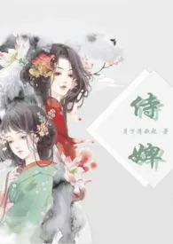 侍婢(剧情向H文)