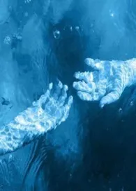 论处理尸体的一百种方法(病娇暗黑向)