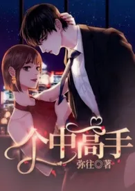 个中高手(1v1 H)