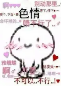 蜜汁炖肉(NPH)