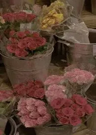 好爱你(婚后 高甜 高H)