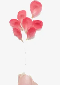 花非花(短篇集)