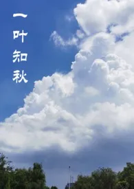一叶知秋(高H SM)