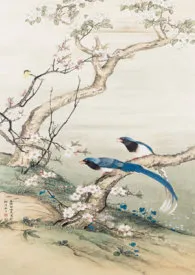 春及拂云长(古言)
