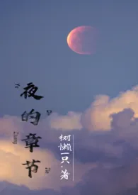 夜的章节(双师生,兄妹,高H)