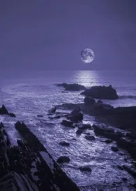 暗夜(NP,bg,含gl)