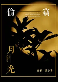 偷窃月光(百合ABO)