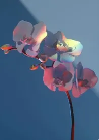 开花沼泽(伪骨科)