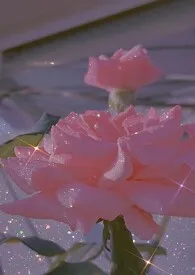 暴露癖女主天天被干翻(np)