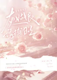 非典型灰姑娘诱捕笔记