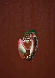 烂果（姐弟1v1）