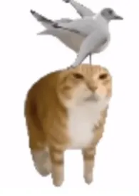 男朋友好像变伪人了(年下,h)