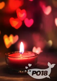 情欲宠物店（NPH）