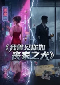 我曾见你如丧家之犬（nph）