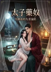 太子药奴：月圆夜的九重沦陷(高H)