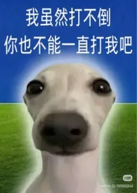 昭昭之心