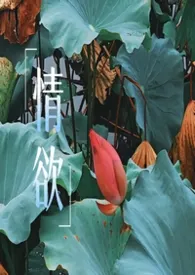 做最纯的爱